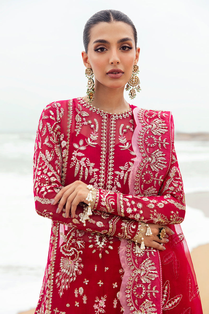 Dastangoi Wedding Formals '25 by Afrozeh | Soulhour