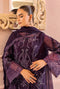 Ronak-e-Mehfil Embroidered Chiffon Semi-Stitched Formals – 13