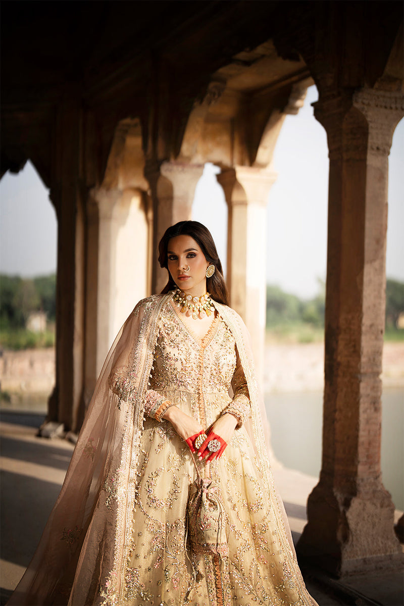affordable bridesmaid dresses online Mahvash – Elegant Beige Raw Silk Pishwas Wedding Dress Online main image 1