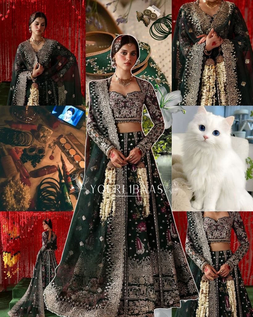 Afrozeh Shehnai Luxury Wedding Formals – Shonglam