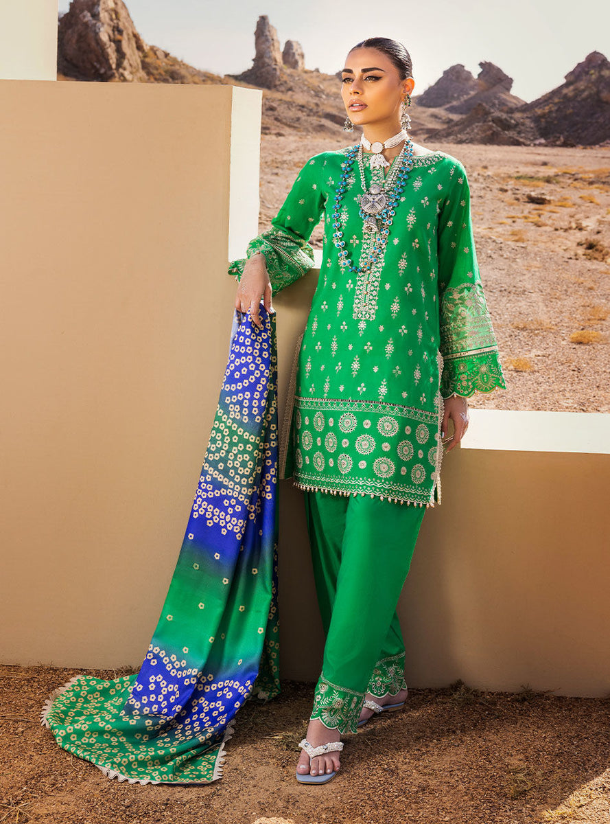Zainab chottani | Luxury Chikankari 24 | NORA - 2B