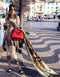 Shehla Chatoor Luxury Lawn Collection – 04-A