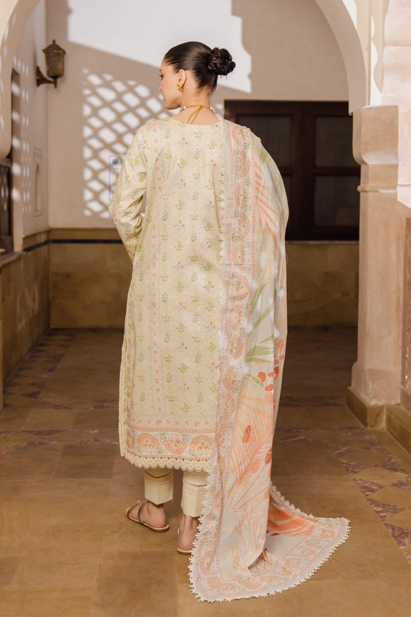 Aabyaan | Shezlin Chikankari 26 | RIVANA (AZ-07) main image 1