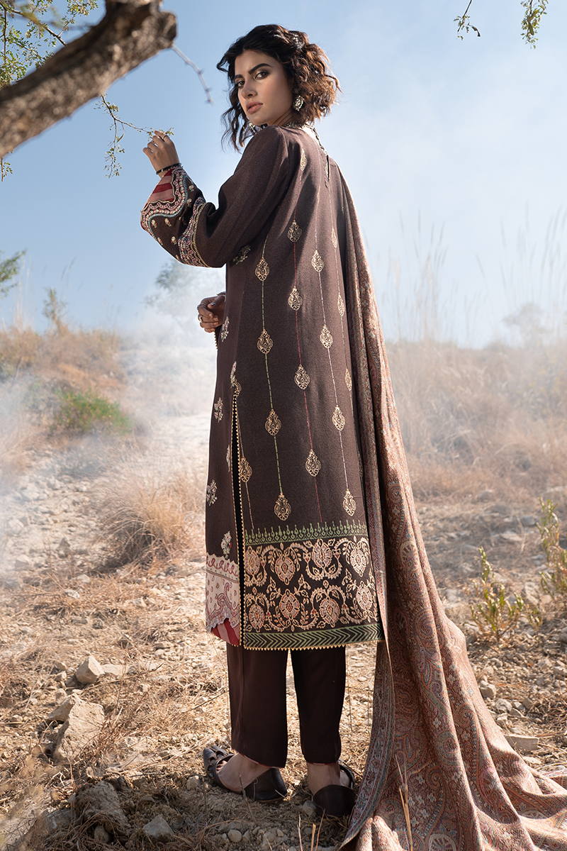 qalamkar luxury shawl collection
