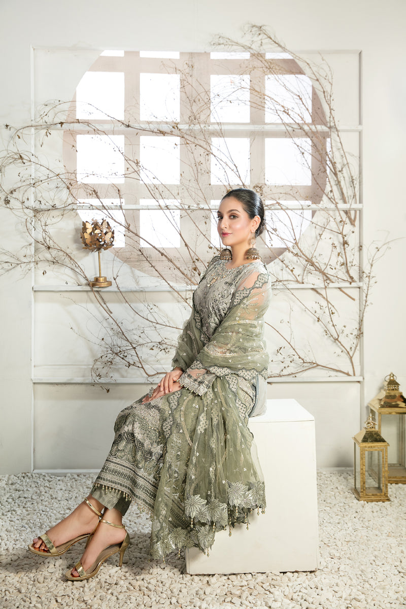 Arushi Formal Chiffon Collection '24 by Tawakkal Fabrics | D - 9884