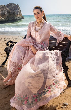 Al Zohaib X Iqra Aziz