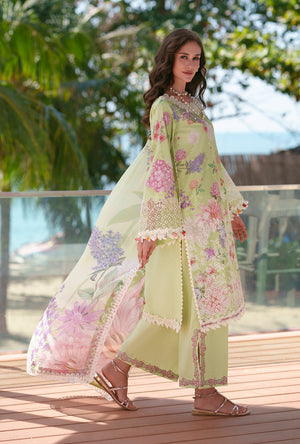 AJR Abbas Jamil Rajpoot