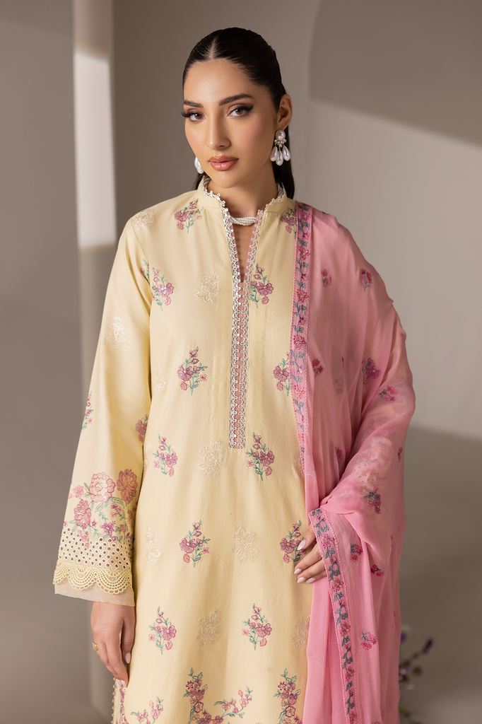 RajBari Premium Edition Lawn – D-09