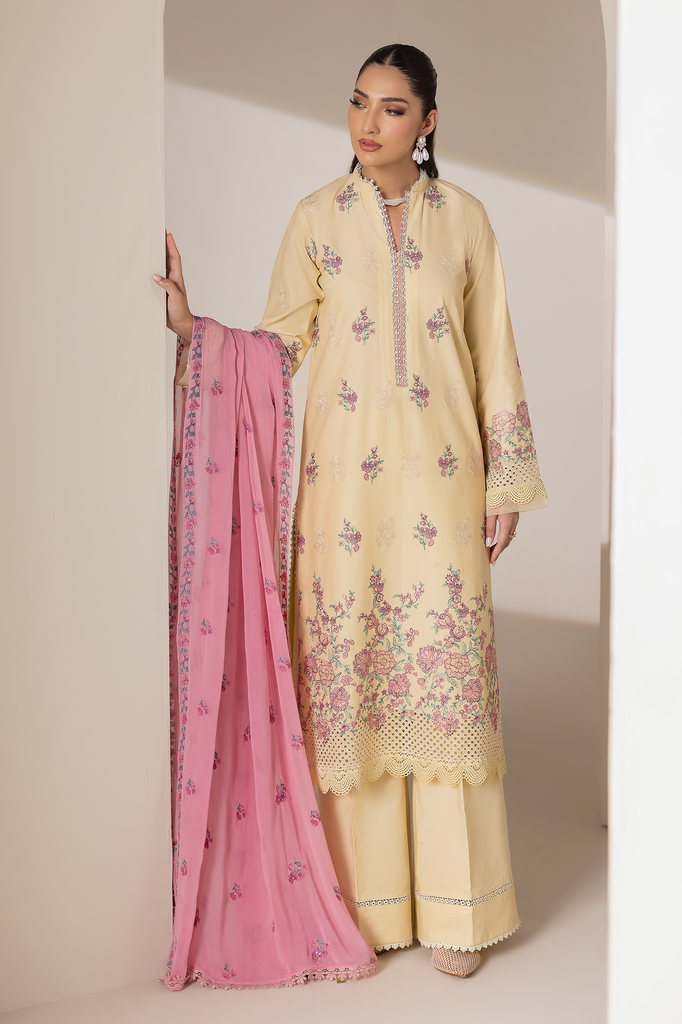 RajBari Premium Edition Lawn – D-09