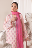 RajBari Premium Edition Lawn – D-02