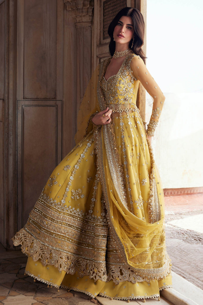 Zaha Gossamer Luxury Wedding Festive Formals – SURAJMUKHI (ZC25-02)