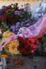 Zaha Festive Luxury Lawn – Peony Reverie (Z-03)