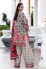 Charizma Aniq Linen Fall/Winter – ANW6-01