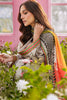 Charizma Rang-e-Bahar Lawn – CRB6-02