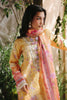 RajBari Silah Silk Edit – D-03