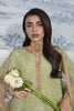 Rang Rasiya Lumeire Silk Edit – Alma