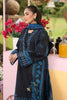 Rang Rasiya Lifestyle Summer Edit Lawn – Ushna