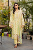 Rang Rasiya Lifestyle Summer Lawn Edit – Olivine