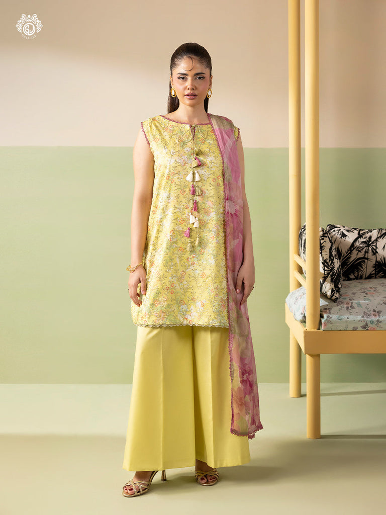 GullJee Illas Chikankari Lawn – A2