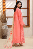 Rang Rasiya Raaya Rameen Lawn – AVADNE