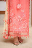 Rang Rasiya Raaya Rameen Lawn – AVADNE