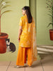 GullJee Illas Chikankari Lawn – A6