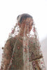 Alizeh La Ruhe Luxury Wedding Formals – AF-CH-2268-Grace