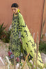 Parishay Ivy Bloom Lawn – IB-04