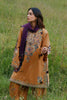 Zara Shahjahan Coco Winter Edit – OCHRE-2A