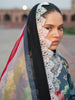 Bin Ilyas Naqsh Naaz Luxury Lawn – 2081-B