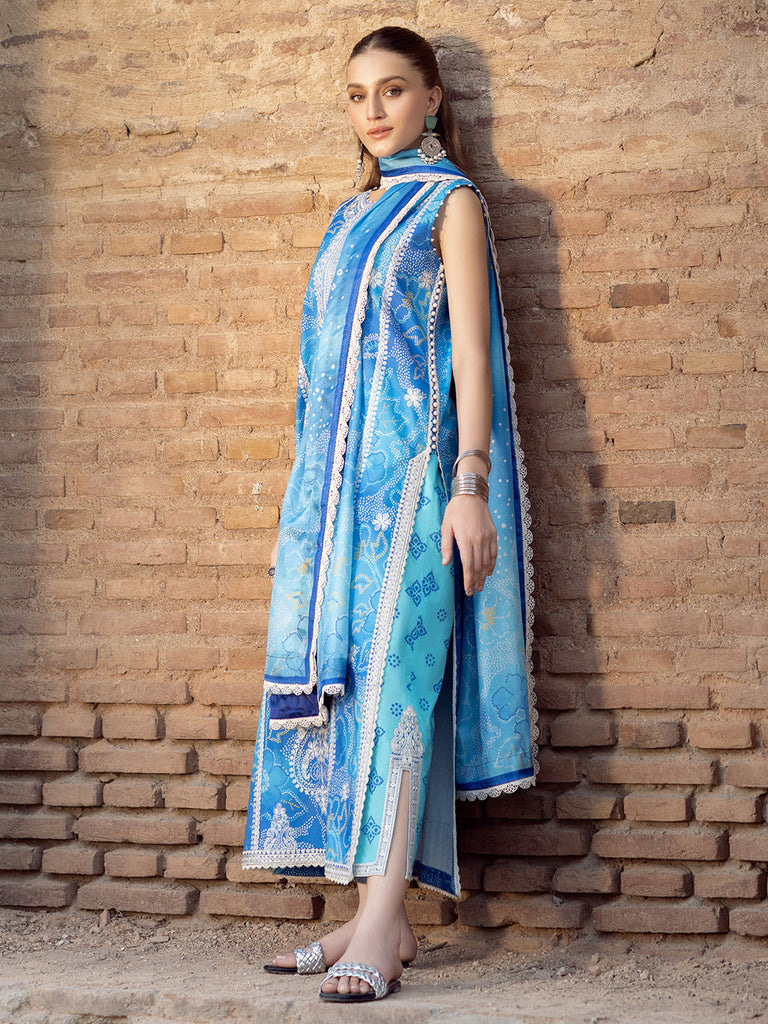 Bin Ilyas Naqsh Naaz Luxury Lawn – 2084-B