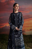 Zarposh Moonlit Muse Luxury Festive Formals – Muse