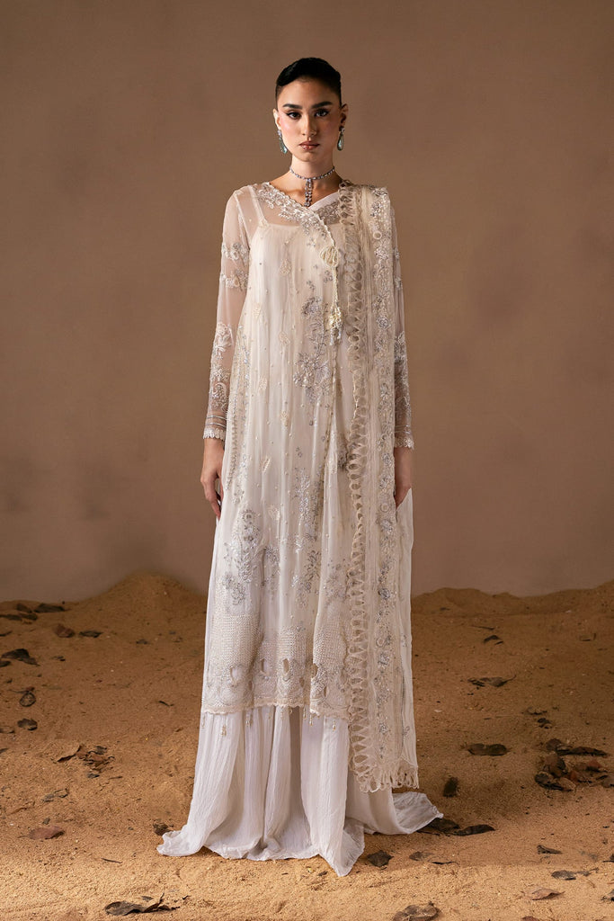 Zarposh Moonlit Muse Luxury Festive Formals – Mystique