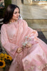 Rang Rasiya Florence Summer Lawn Edit – Eshal