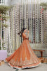 Gulmina Luxury Handwork Chiffon Formals – Anaya