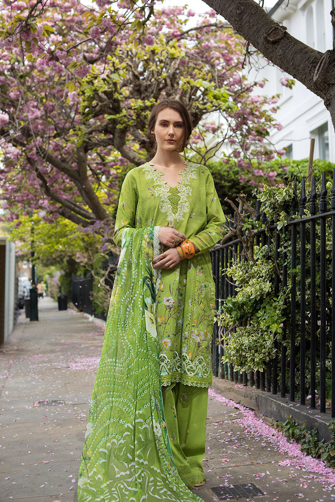 Sobia Nazir SN Basics Lawn – 3A