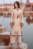 Jazmin Delia Fall/Winter – Embroidered Slub Khaddar D2