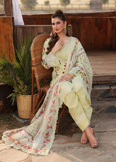 Sardinia Festive Lawn