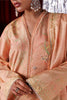 Rang Rasiya Luxe Silk Edit – Eloire