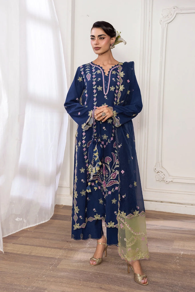 Rang Rasiya Lumeire Silk Edit – Azul