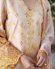 Neeshay Printnkari Lawn – Solaya