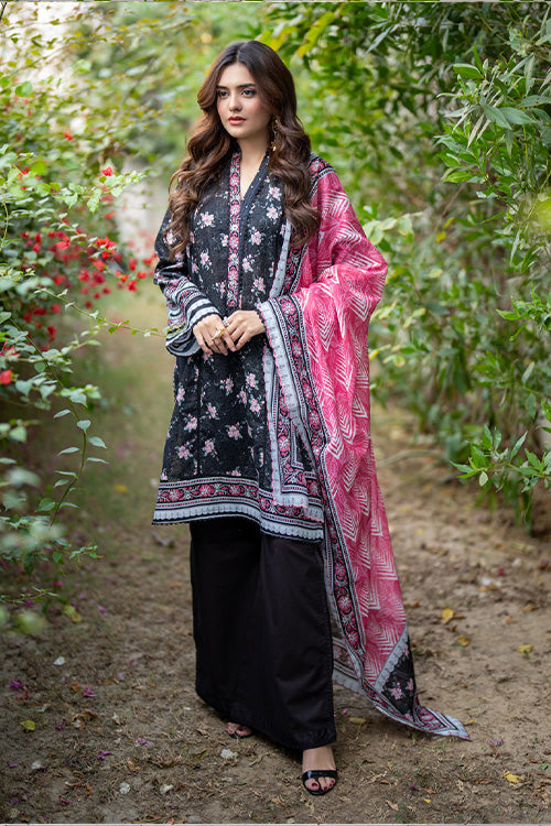 Salina Printed Lawn Vol-2 – D-43