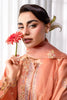 Rang Rasiya Lumeire Silk Edit – Clara