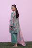 Sahar Mirha Lawn – Olive Blush Reverie