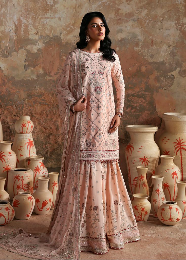 Emaan Adeel Afsana-e-Silk Formals – NAZNEEN