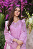 Noor by Saadia Asad Luxury Chikankari Lawn Collection – D9-A Pink ombré