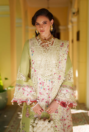 AJR Abbas Jamil Rajpoot