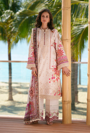 AJR Abbas Jamil Rajpoot