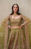 Inayat Wedding Luxury Festive Formals – AZRINA