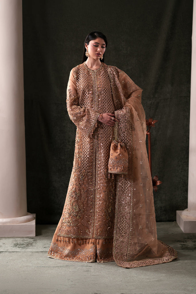 Emaan Adeel Starlit Jewels Luxury Formals – Hessonite
